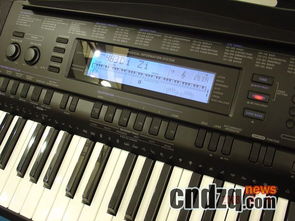 Casio新款電子琴蓄勢待發，官方圖片率先曝光